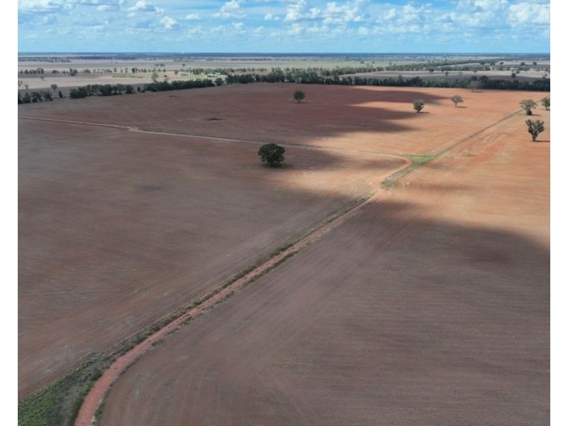 2921 Farrendale Road, Narromine NSW 2821