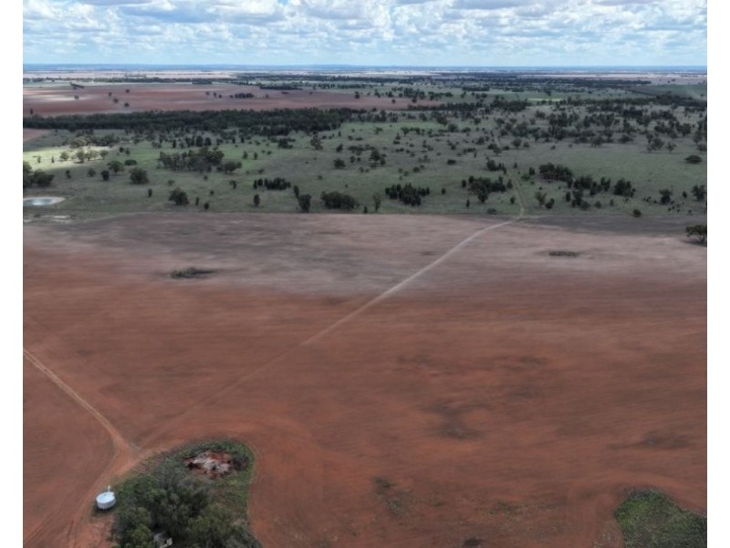 2921 Farrendale Road, Narromine NSW 2821