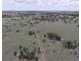 2921 Farrendale Road, Narromine NSW 2821