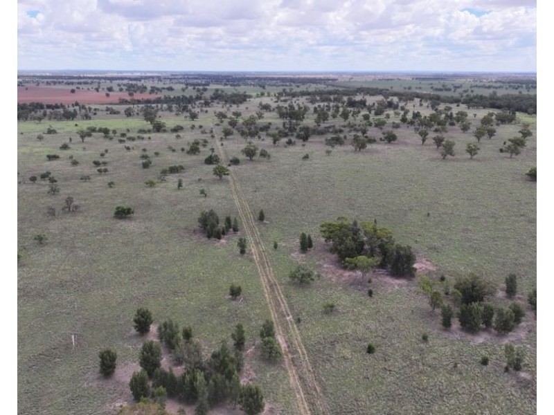 2921 Farrendale Road, Narromine NSW 2821