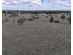 2921 Farrendale Road, Narromine NSW 2821