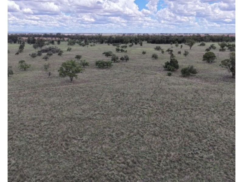 2921 Farrendale Road, Narromine NSW 2821