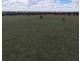 2921 Farrendale Road, Narromine NSW 2821