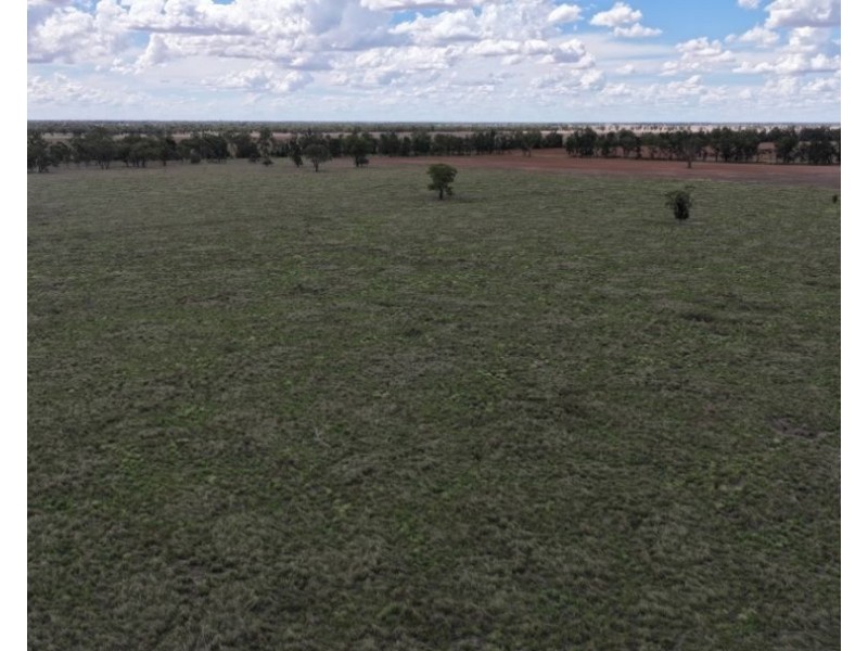 2921 Farrendale Road, Narromine NSW 2821