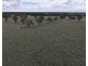 2921 Farrendale Road, Narromine NSW 2821