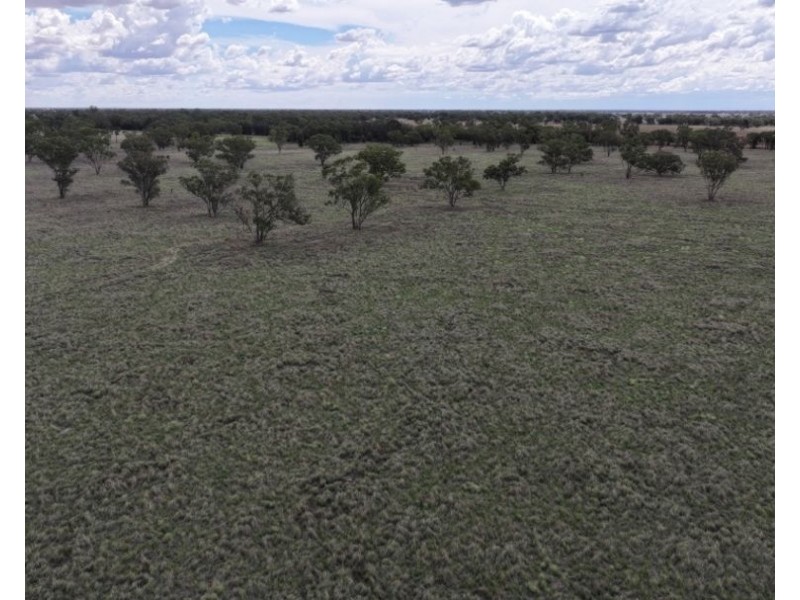 2921 Farrendale Road, Narromine NSW 2821