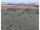 2921 Farrendale Road, Narromine NSW 2821