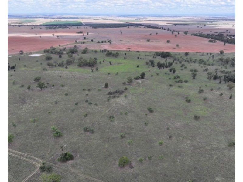 2921 Farrendale Road, Narromine NSW 2821