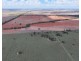 2921 Farrendale Road, Narromine NSW 2821