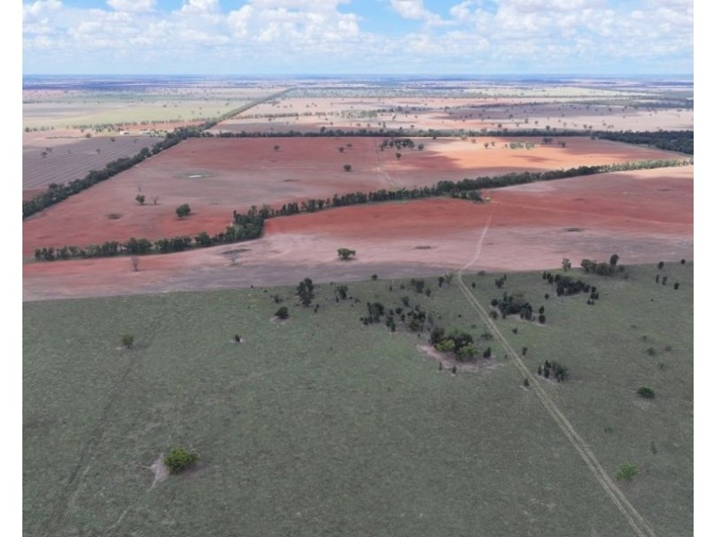 2921 Farrendale Road, Narromine NSW 2821