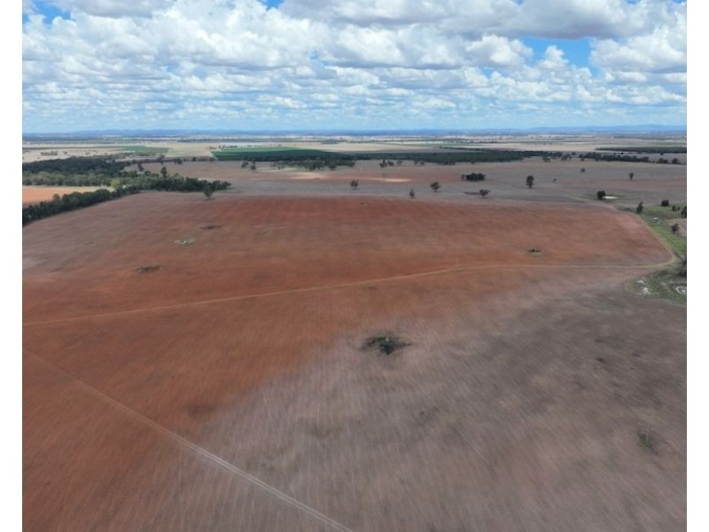 2921 Farrendale Road, Narromine NSW 2821