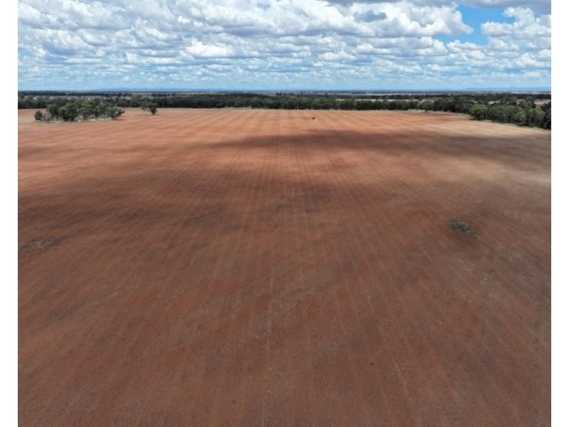 2921 Farrendale Road, Narromine NSW 2821