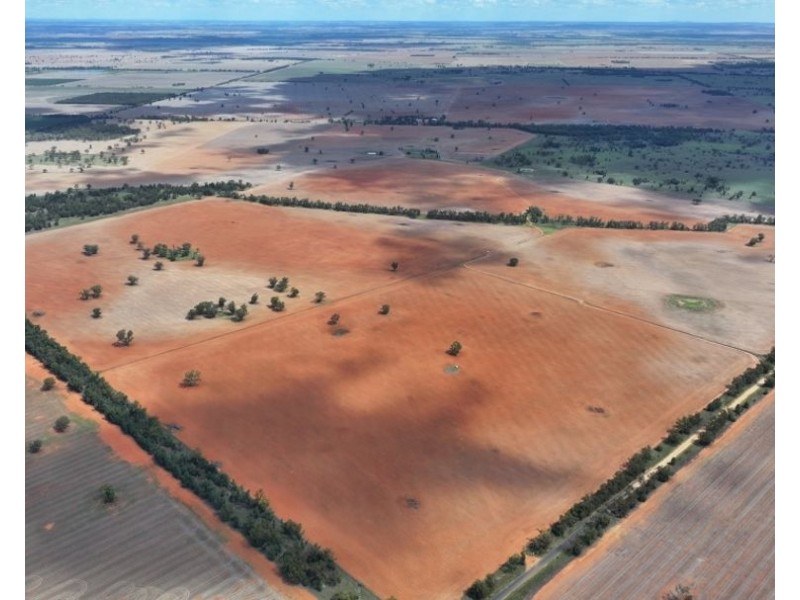 2921 Farrendale Road, Narromine NSW 2821
