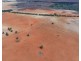 2921 Farrendale Road, Narromine NSW 2821