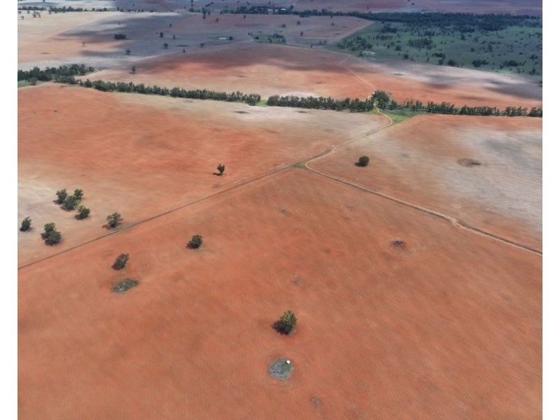 2921 Farrendale Road, Narromine NSW 2821