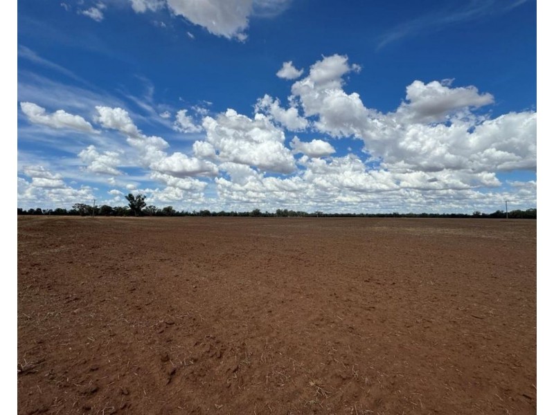 2921 Farrendale Road, Narromine NSW 2821