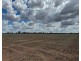 2921 Farrendale Road, Narromine NSW 2821