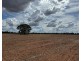 2921 Farrendale Road, Narromine NSW 2821