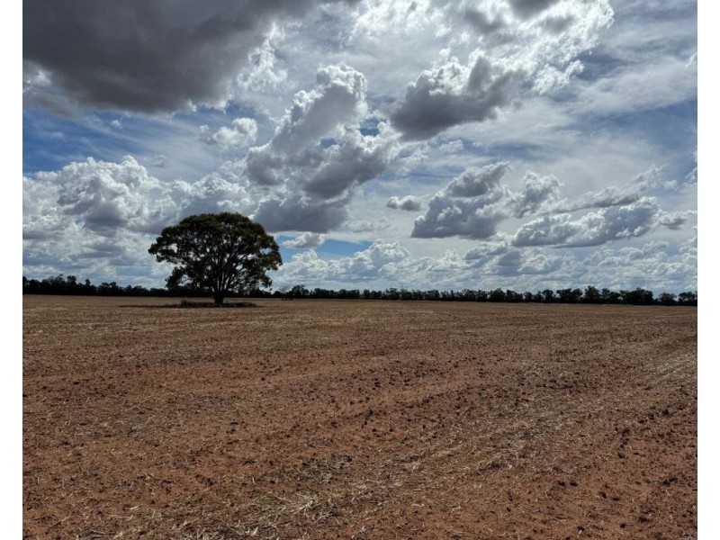 2921 Farrendale Road, Narromine NSW 2821