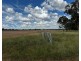 2921 Farrendale Road, Narromine NSW 2821