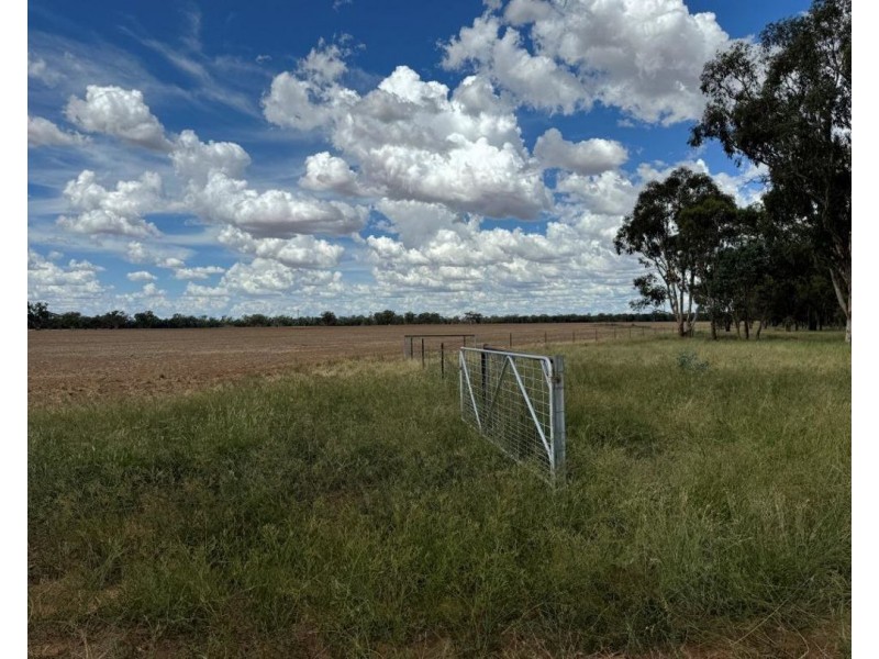 2921 Farrendale Road, Narromine NSW 2821