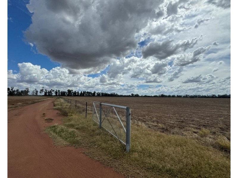 2921 Farrendale Road, Narromine NSW 2821