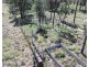 2921 Farrendale Road, Narromine NSW 2821