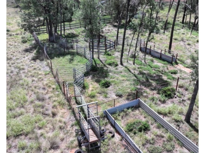 2921 Farrendale Road, Narromine NSW 2821