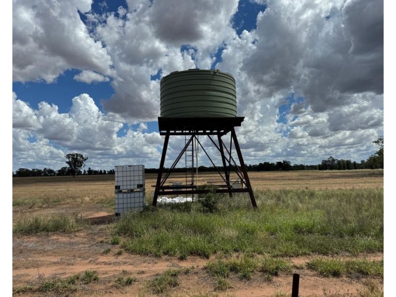 2921 Farrendale Road, Narromine NSW 2821