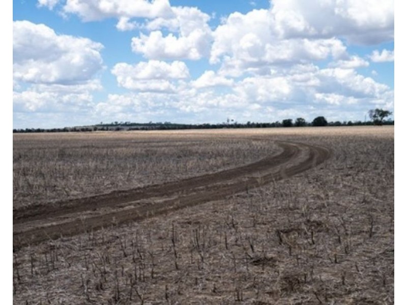 Mallanganee, Gurley NSW 2398