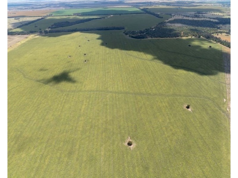 Mallanganee, Gurley NSW 2398