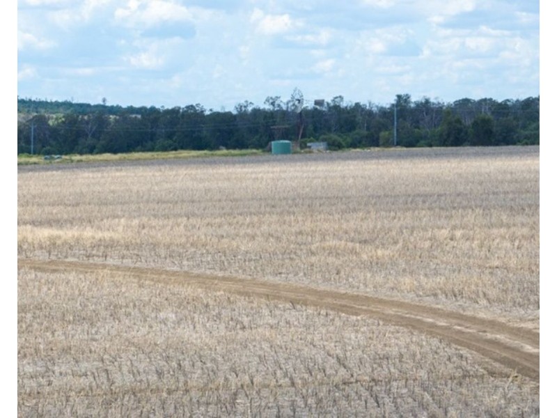 Mallanganee, Gurley NSW 2398