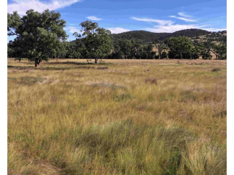 6121 Terry Hie Hie Road, Moree NSW 2400