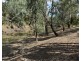 Moree NSW 2400