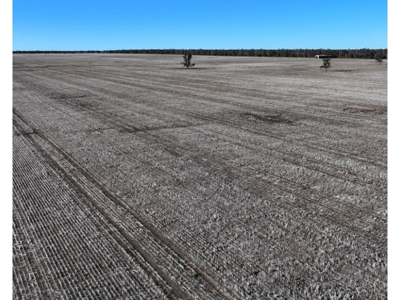 Terlings & Dundenoon, Moree NSW 2400
