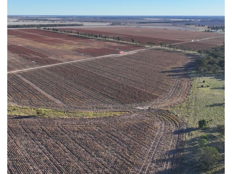 Terlings & Dundenoon, Moree NSW 2400