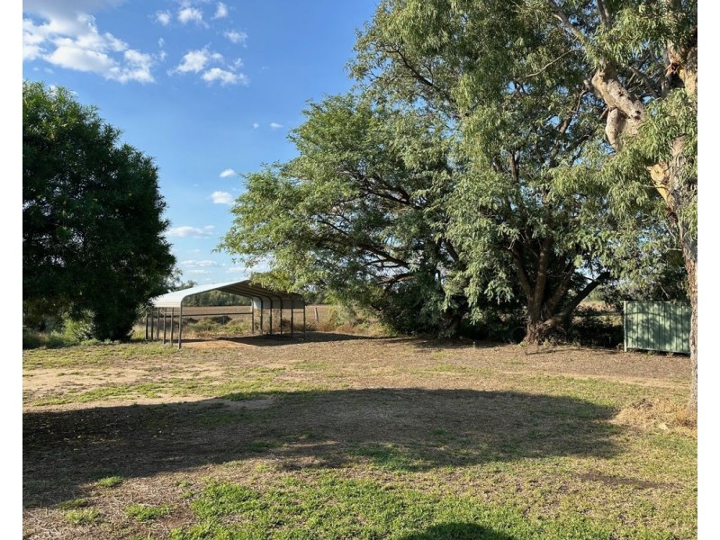16 Callallie Avenue, Moree NSW 2400