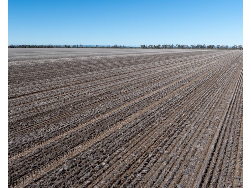 “Kalua”, Pallamallawa NSW 2399