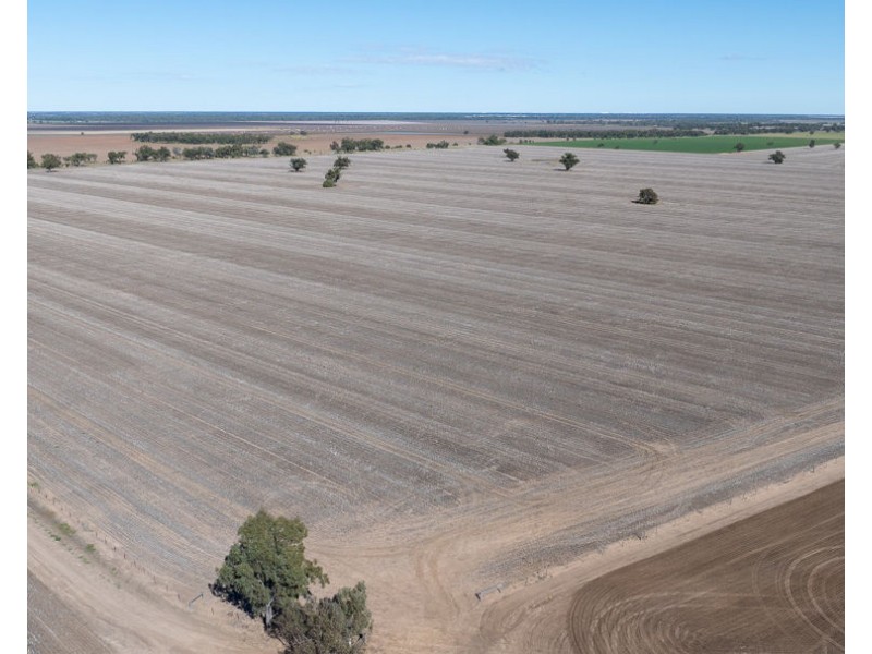 “Kalua”, Pallamallawa NSW 2399