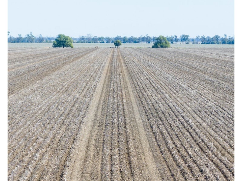 “Kalua”, Pallamallawa NSW 2399