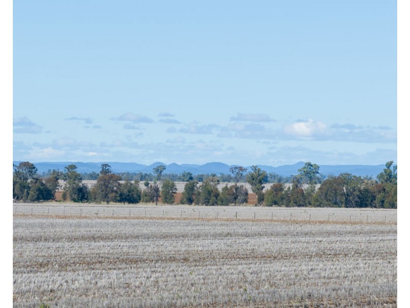 “Kalua”, Pallamallawa NSW 2399