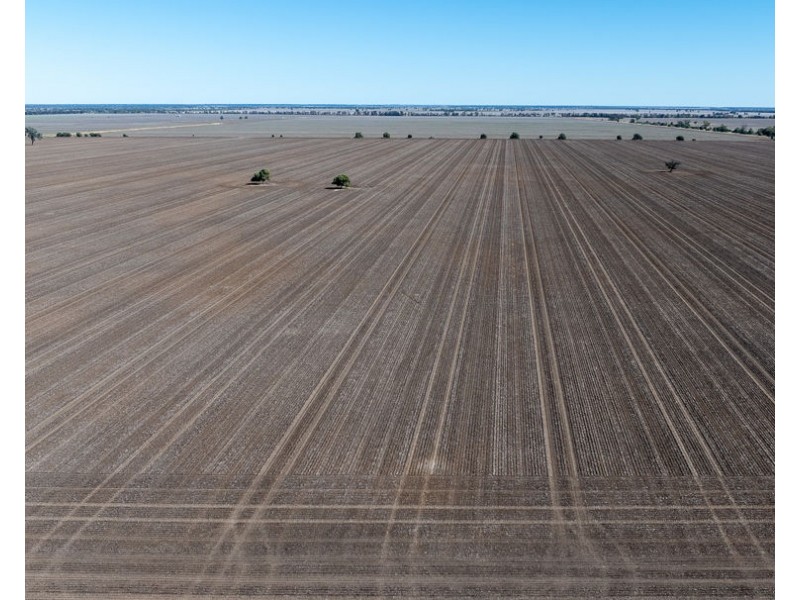 “Kalua”, Pallamallawa NSW 2399