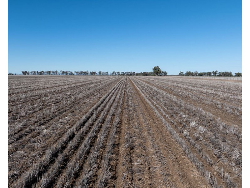 “Kalua”, Pallamallawa NSW 2399