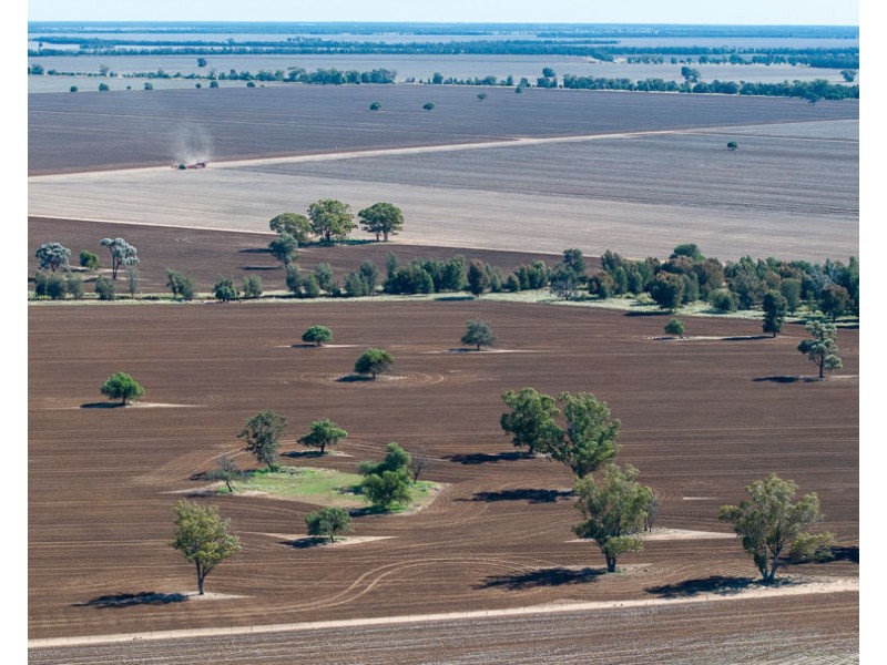 “Kalua”, Pallamallawa NSW 2399