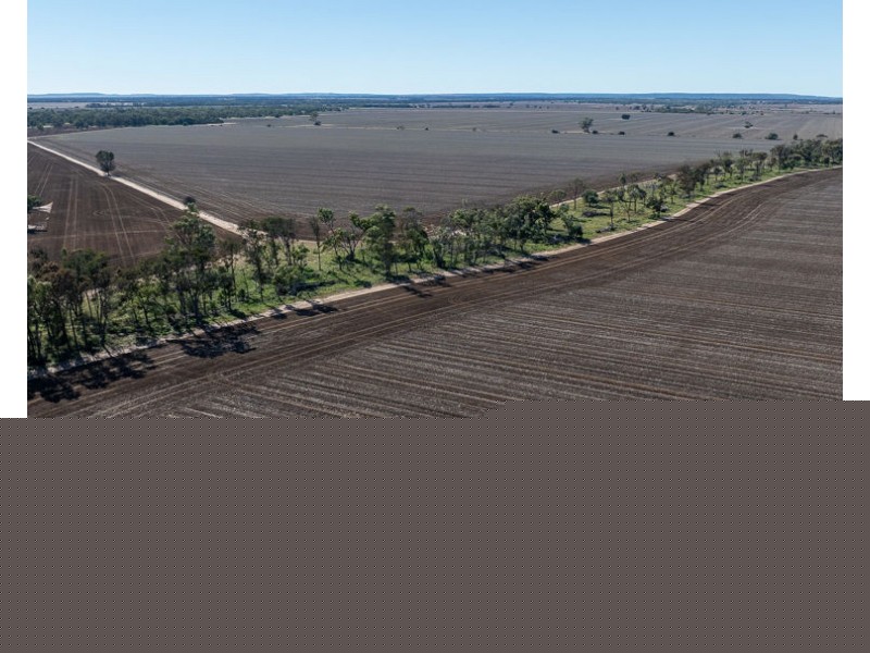 “Kalua”, Pallamallawa NSW 2399