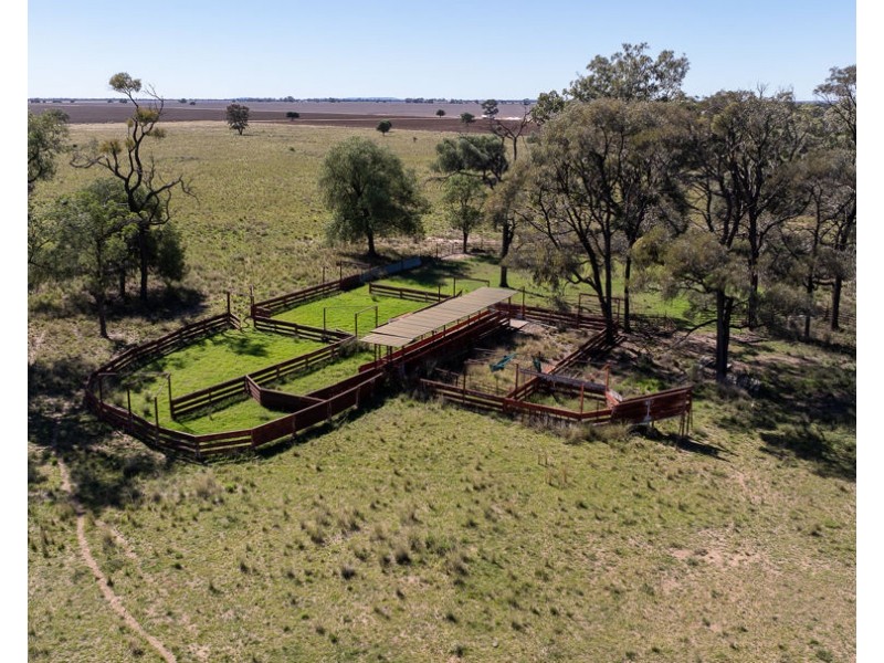 “Kalua”, Pallamallawa NSW 2399