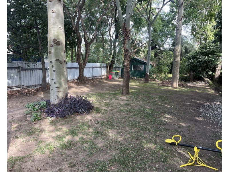 19 Balo Street, Moree NSW 2400