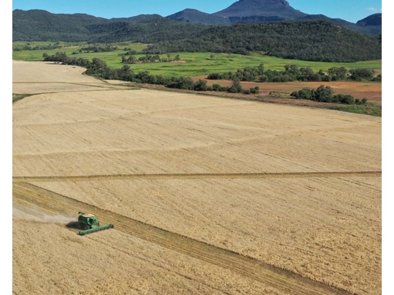 Couradda North, Narrabri NSW 2390