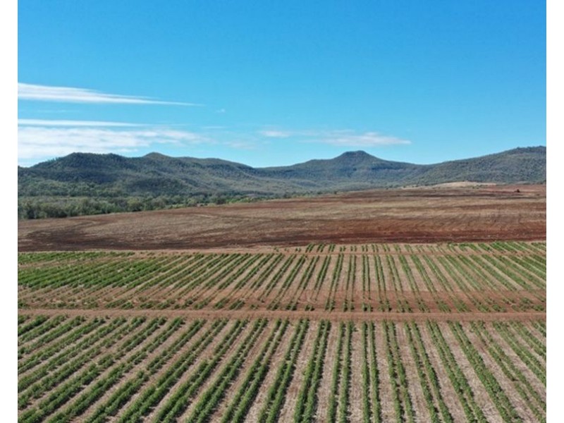 Couradda North, Narrabri NSW 2390