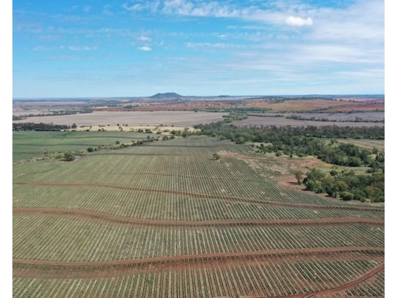 Couradda North, Narrabri NSW 2390